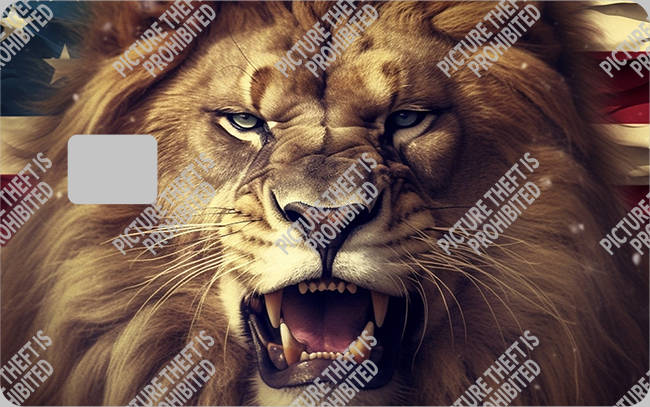 Bank  Card Sticker-BC-1532